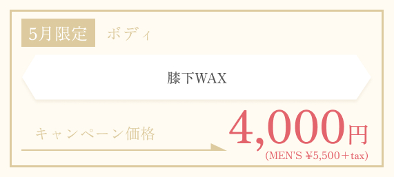 5月限定　膝下WAX¥4,000+tax  (MEN'S ¥5,500+tax)
