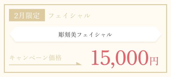 2月限定　彫刻美フェイシャル