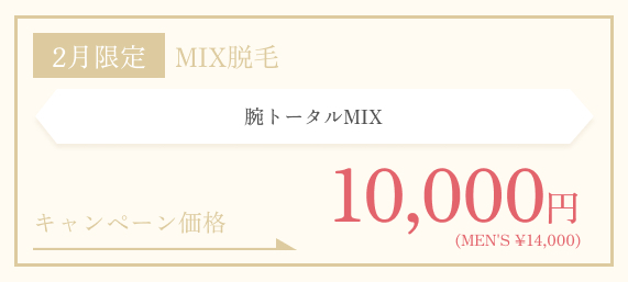 2月限定　腕トータルMIX