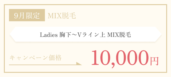9月限定　ladies胸下～Vライン上MIX脱毛